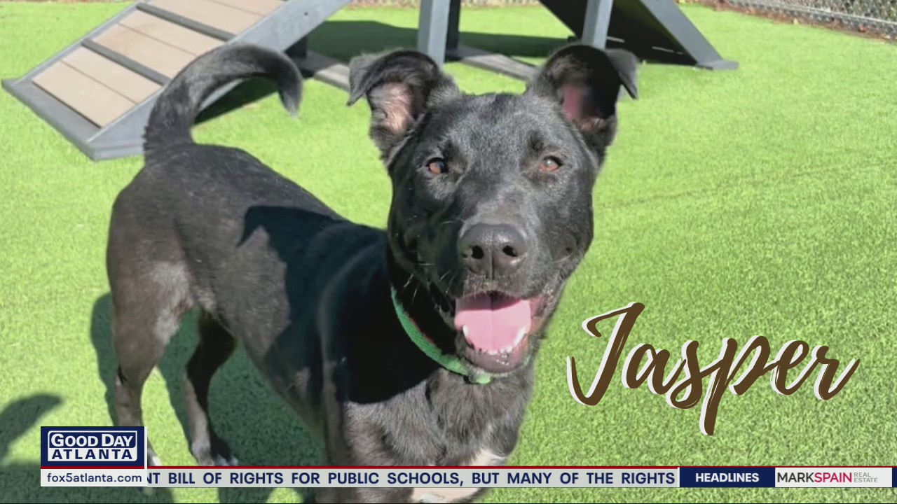 Pet of the Day from Northeast Georgia