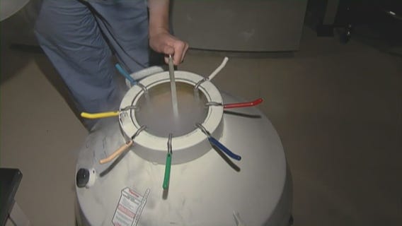 Trump Administration looks to make IVF costs more affordable