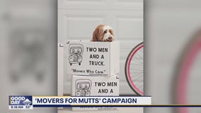 'Movers for Mutts' campaign