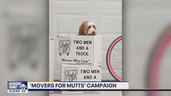 'Movers for Mutts' campaign