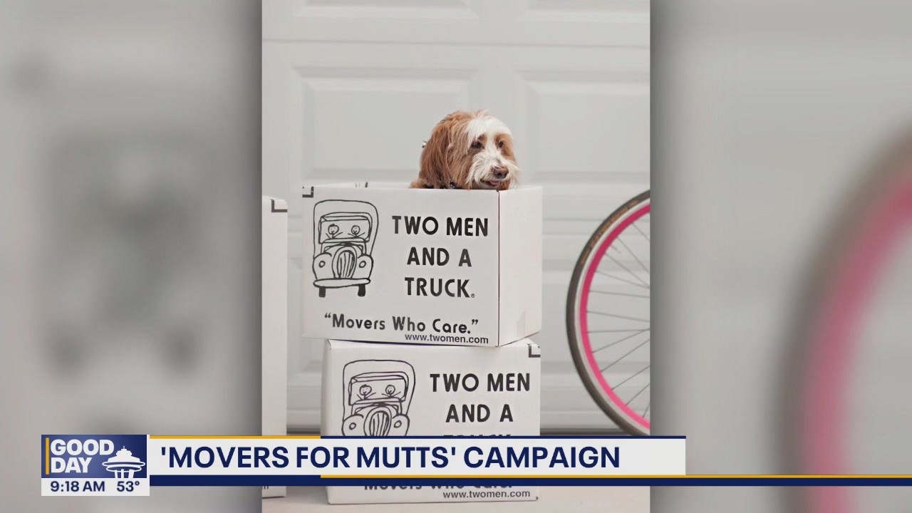 'Movers for Mutts' campaign