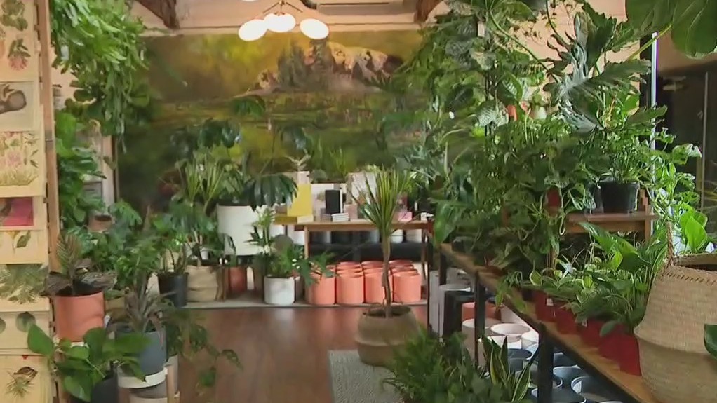 Pueblo plant nursery in Downtown Phoenix