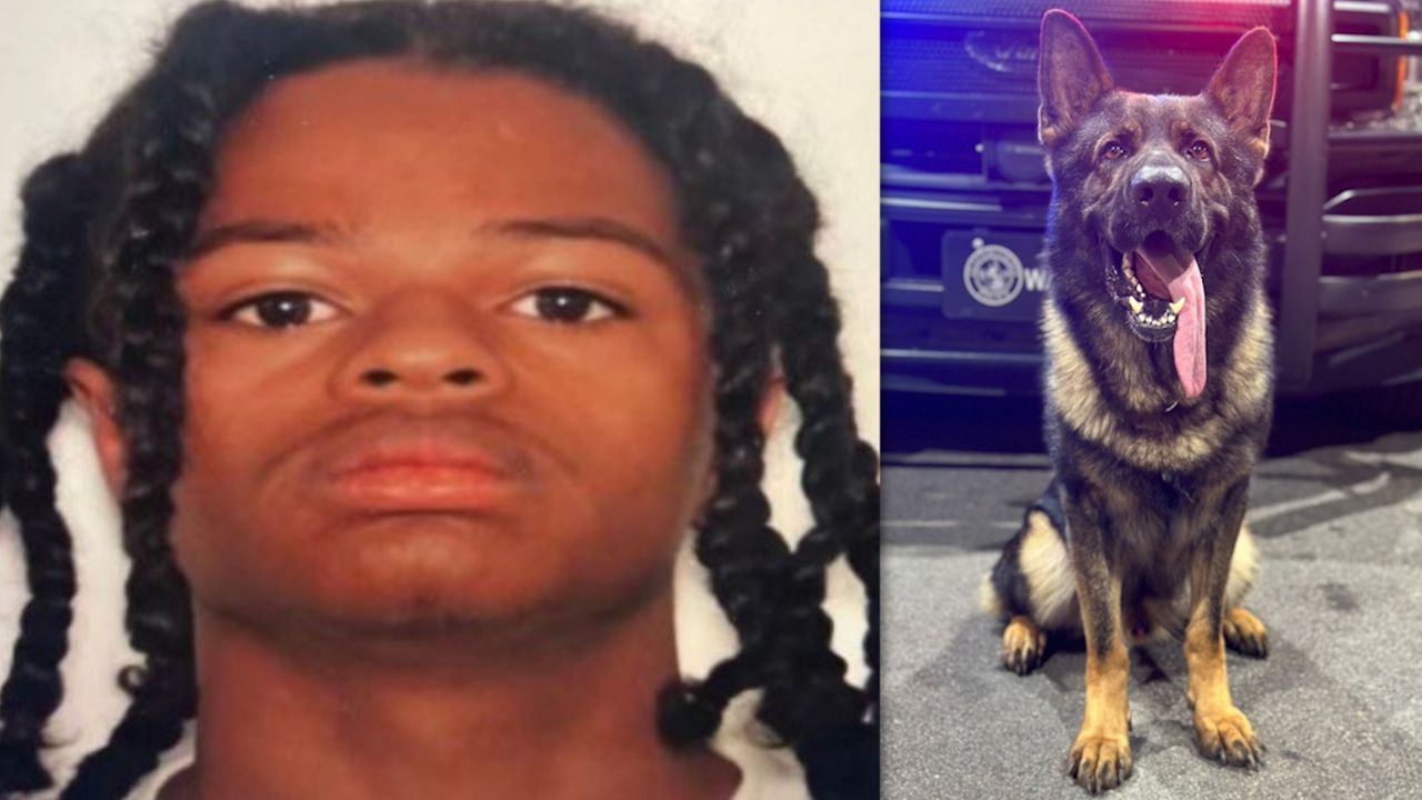 Suspect wanted in deadly K-9 shooting now dead | FOX 5 Atlanta