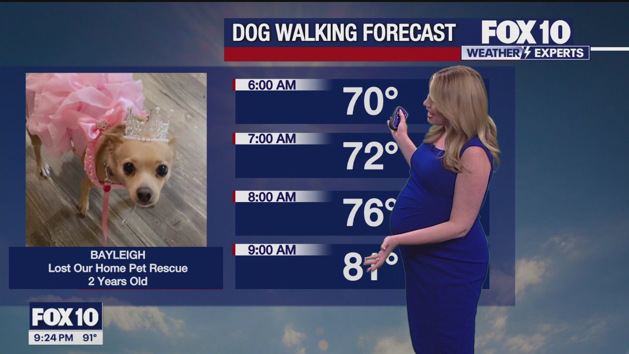 Evening Weather Forecast - 4/21/24