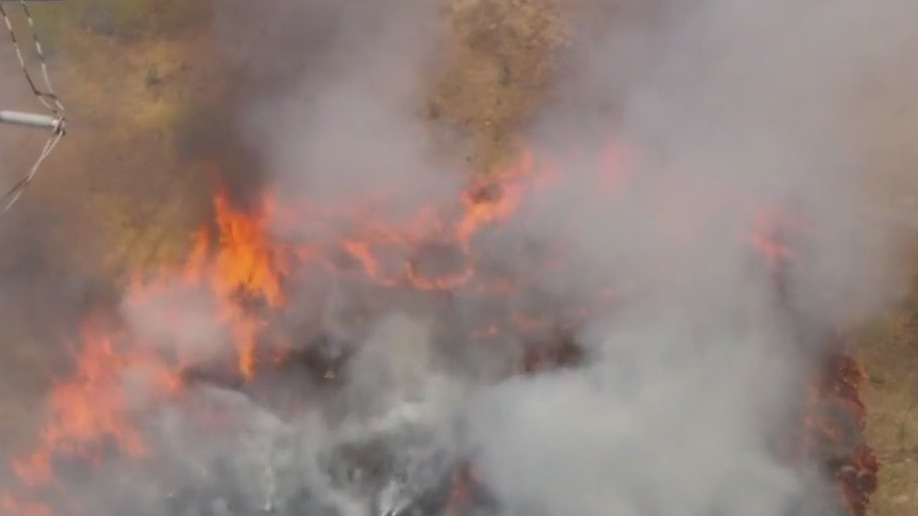 Firefighters knock down brush fire in Pacoima