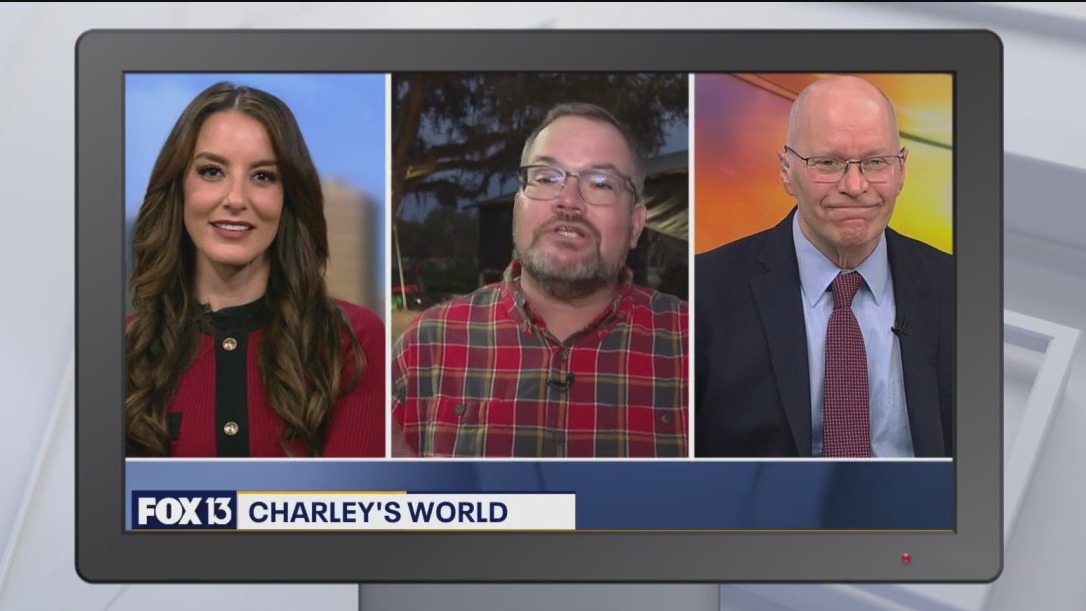 Good Day Goodies | December 5, 2025 | FOX 13 Tampa Bay