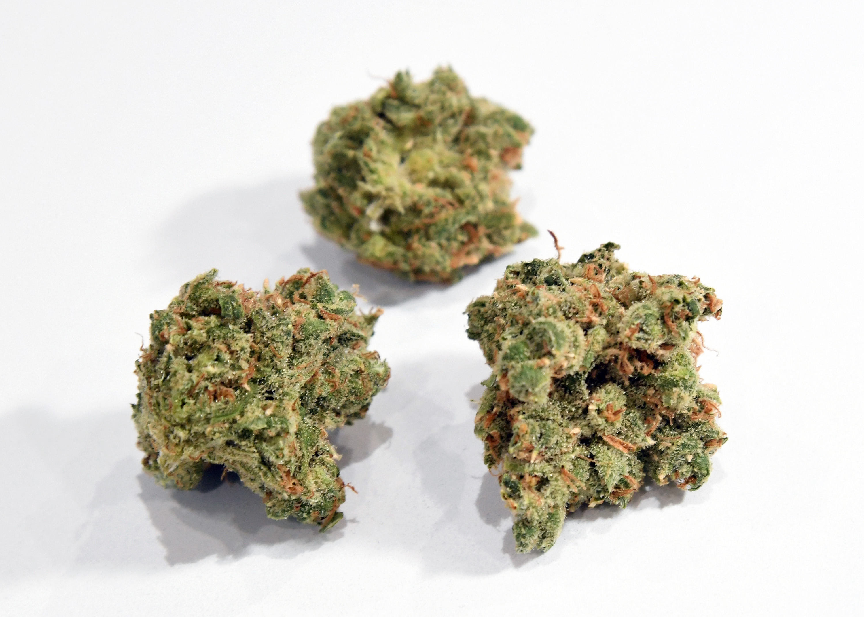 WI Republican says marijuana proposal 'likely to be dead upon arrival'