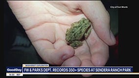 350 species found at Fort Worth park in one night