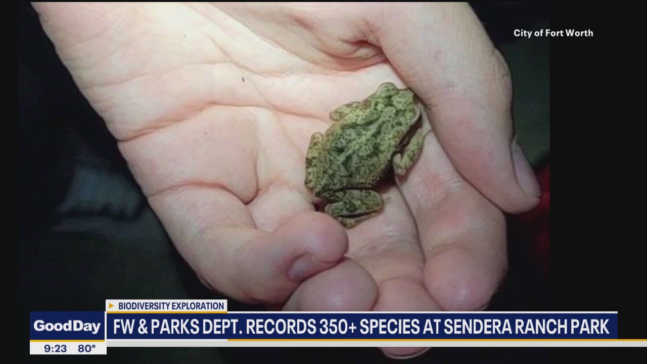350 species found at Fort Worth park in one night