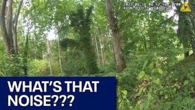 WA deputy did something unusual to trick suspect out