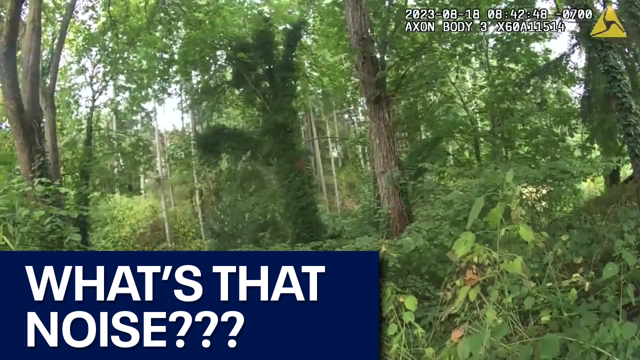 WA deputy did something unusual to trick suspect out