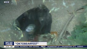 'OktoBEARfest' is back at the Philadelphia Zoo this weekend