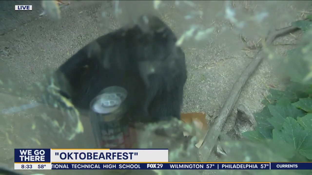 'OktoBEARfest' is back at the Philadelphia Zoo this weekend