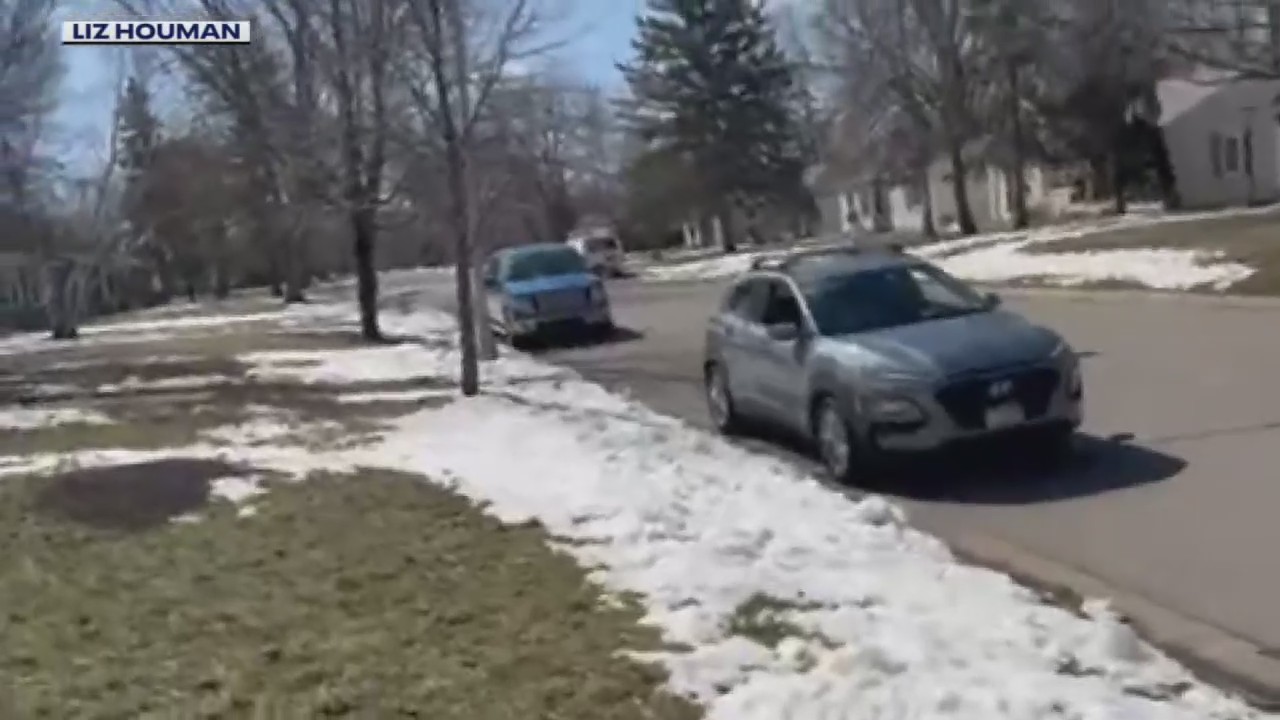 San Diego dog found in Metro Detroit