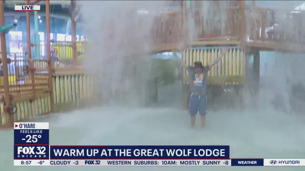 It's a tropical oasis in the northern suburbs