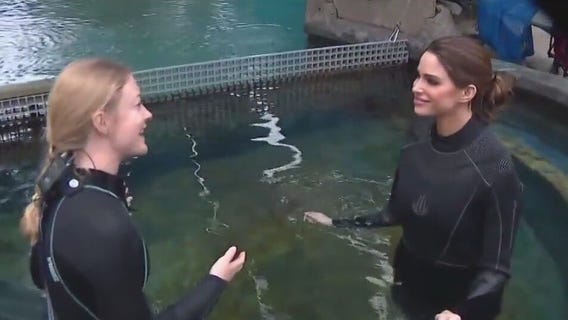 Jenn at Work: Aquarium of the Pacific