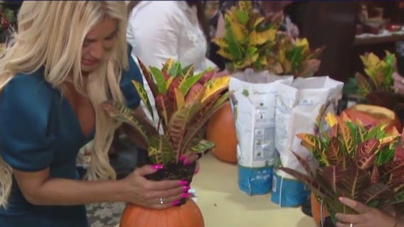 Bayou City Buzz: Cornelius Nursery