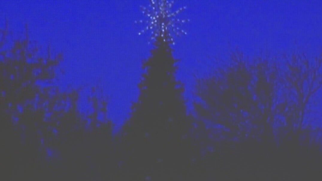 Dell Children's annual Christmas tree lighting