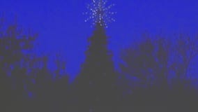 Dell Children's annual Christmas tree lighting