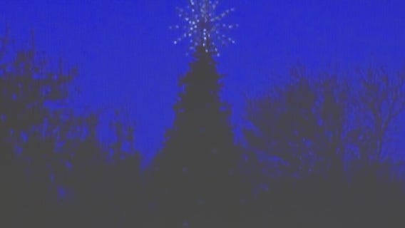 Dell Children's annual Christmas tree lighting