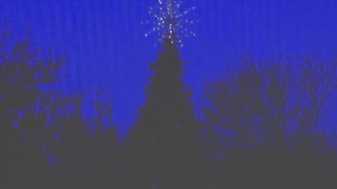 Dell Children's annual Christmas tree lighting