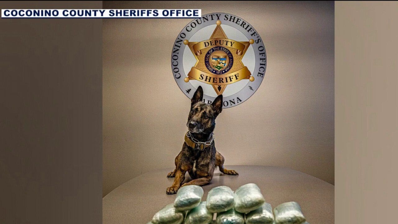 Nearly 18 pounds of fentanyl seized during Arizona traffic stop