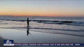 New Jersey shore town bans fishing for sharks from the beach