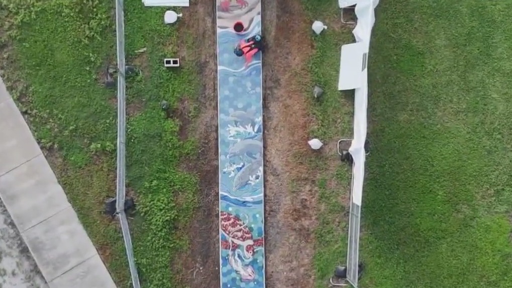 Bird's eye view of St. Pete's newest artwork