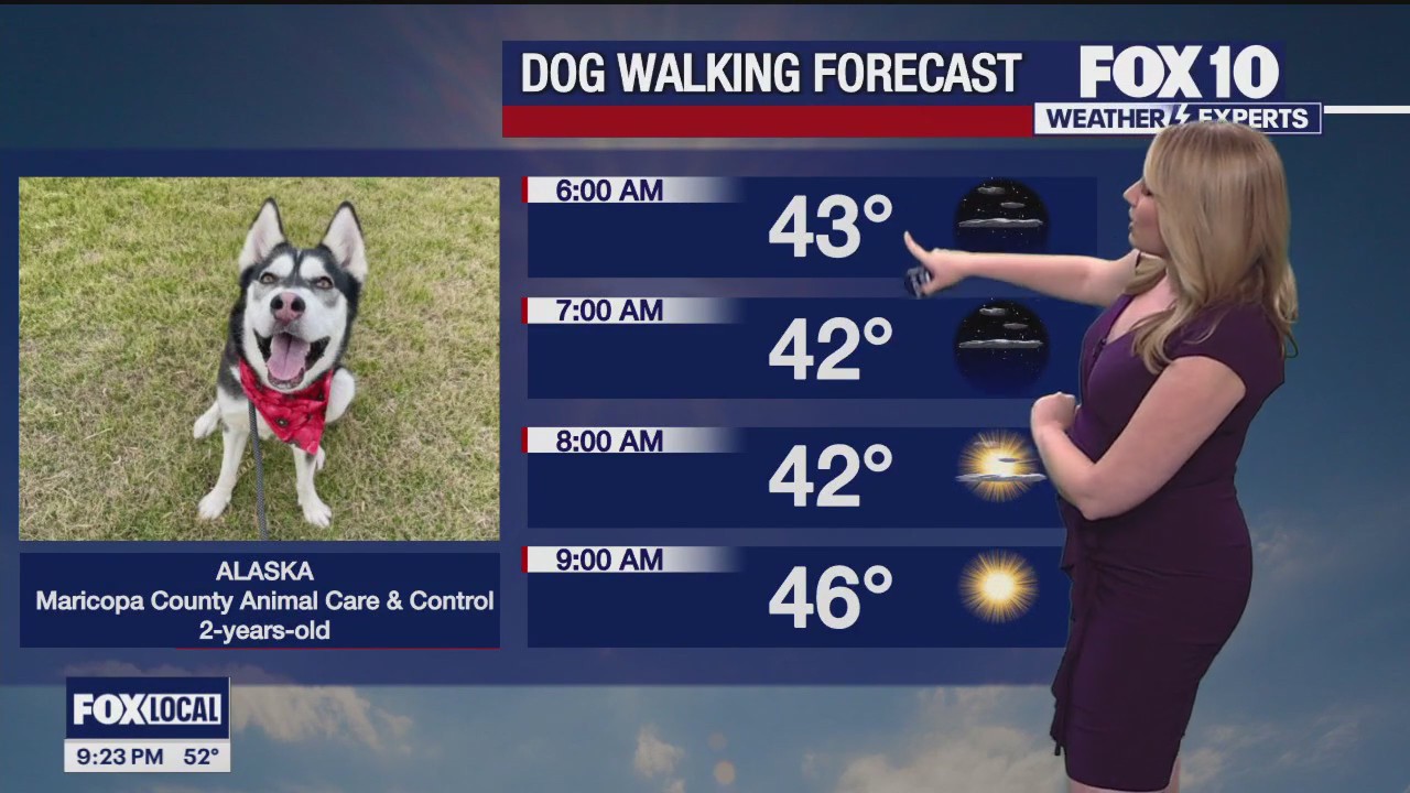 Weekend Weather Forecast