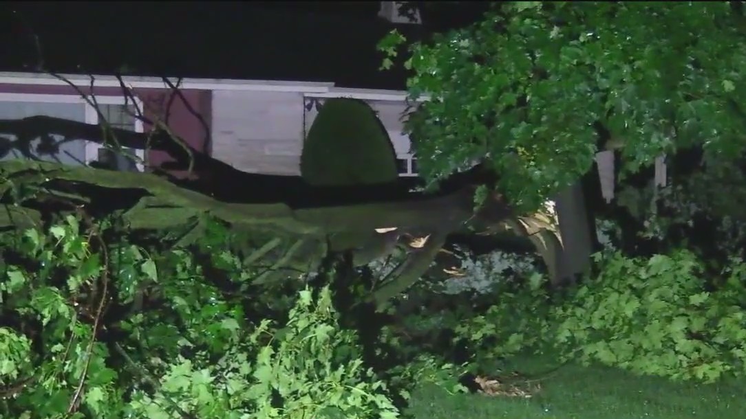 Widespread storm damage in Will County | FOX 32 Chicago