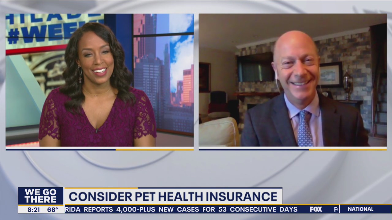 Cashing In: Interest in getting a dog has increased during pandemic