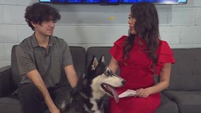 Pet of the Weekend: Kumara