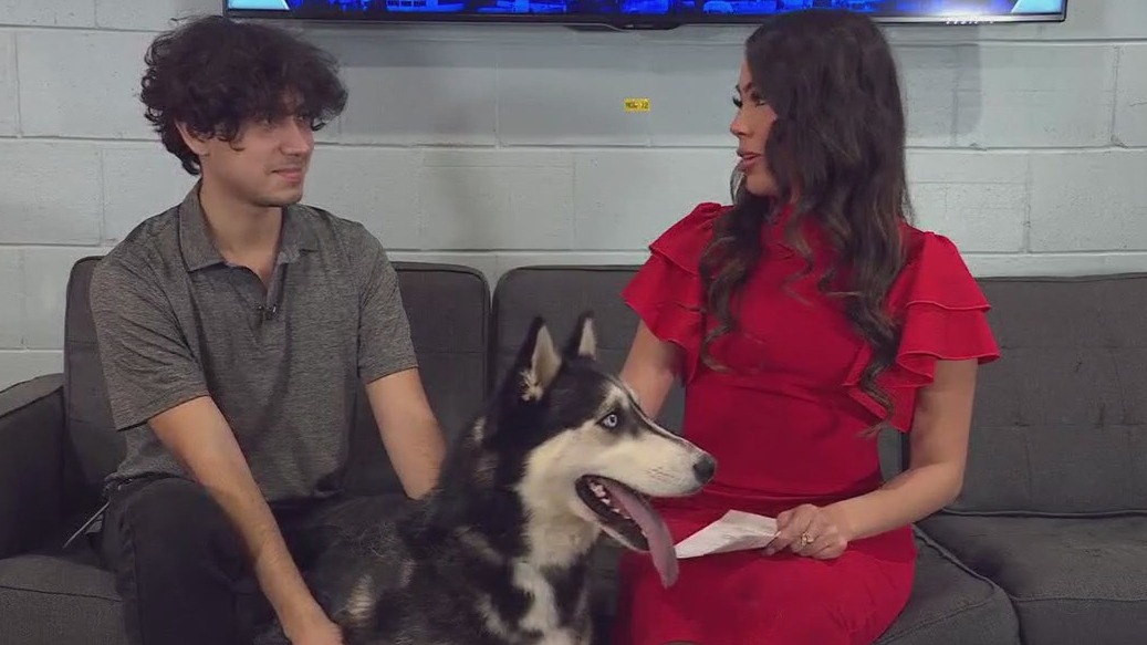 Pet of the Weekend: Kumara