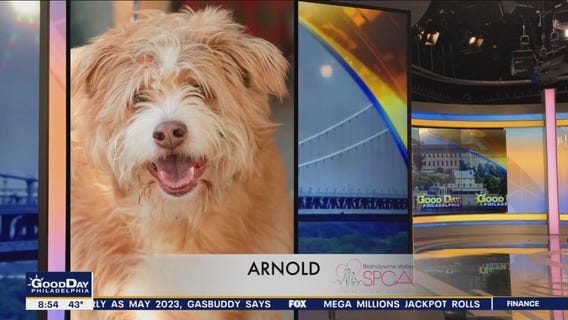 FurEver Home: January 1, 2023