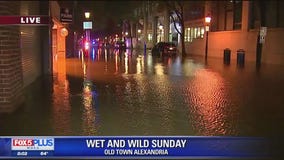 Heavy rain leads to flooding in Old Town Alexandria