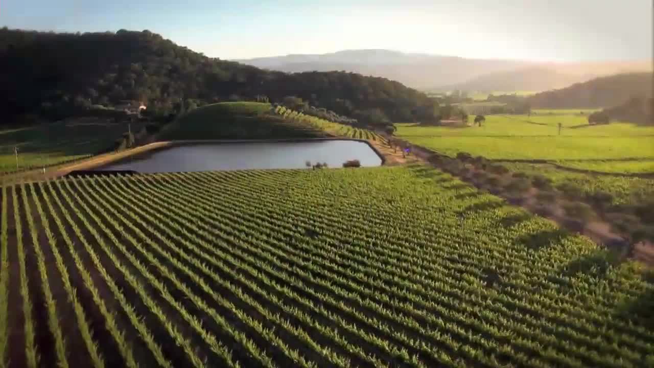 Georgia freshman Brock Bowers goes from small town to big time