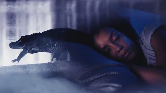 What do alligator dreams mean?