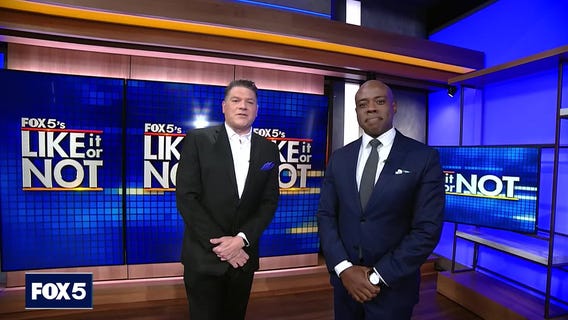 LION: November 11, 2024