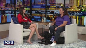 FOX 13 Unscripted: Dogs Inc.