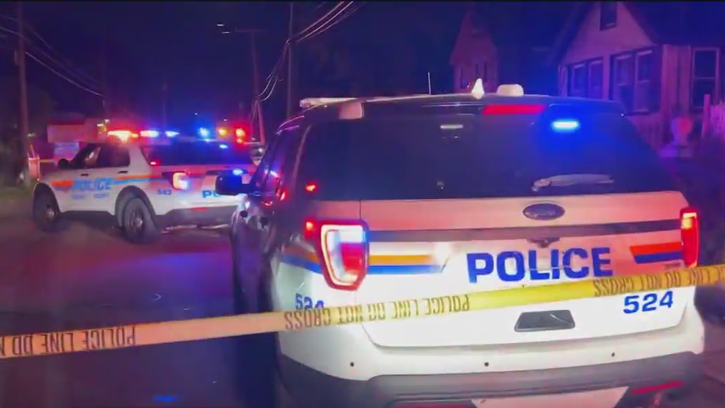 Several shots fired at Valley Stream party