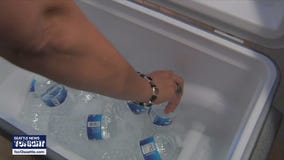 Microplastics found in all major human organ systems