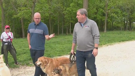 Dog exercise at Minooka Park