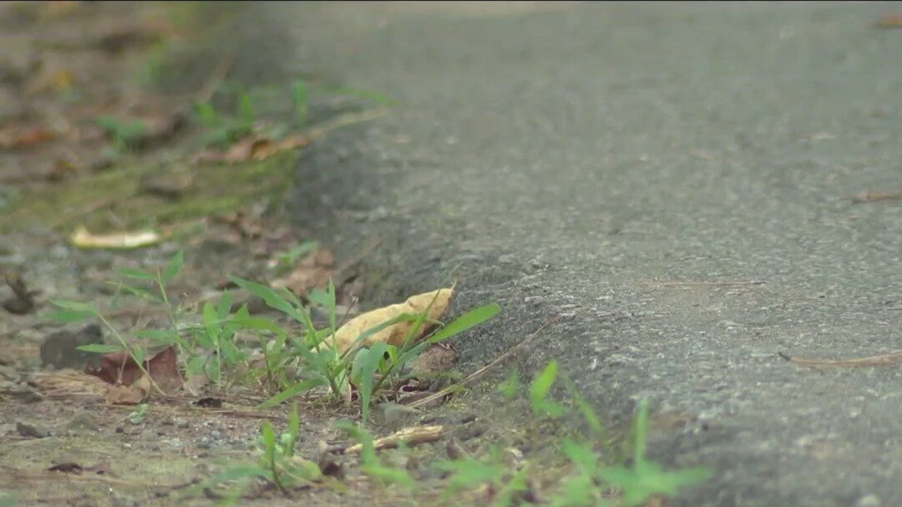 19-year-old sexually assaulted on nature trail | FOX 5 Atlanta