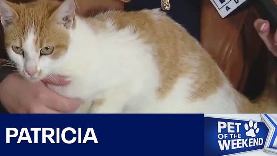 Patricia at Texas Humane Heroes