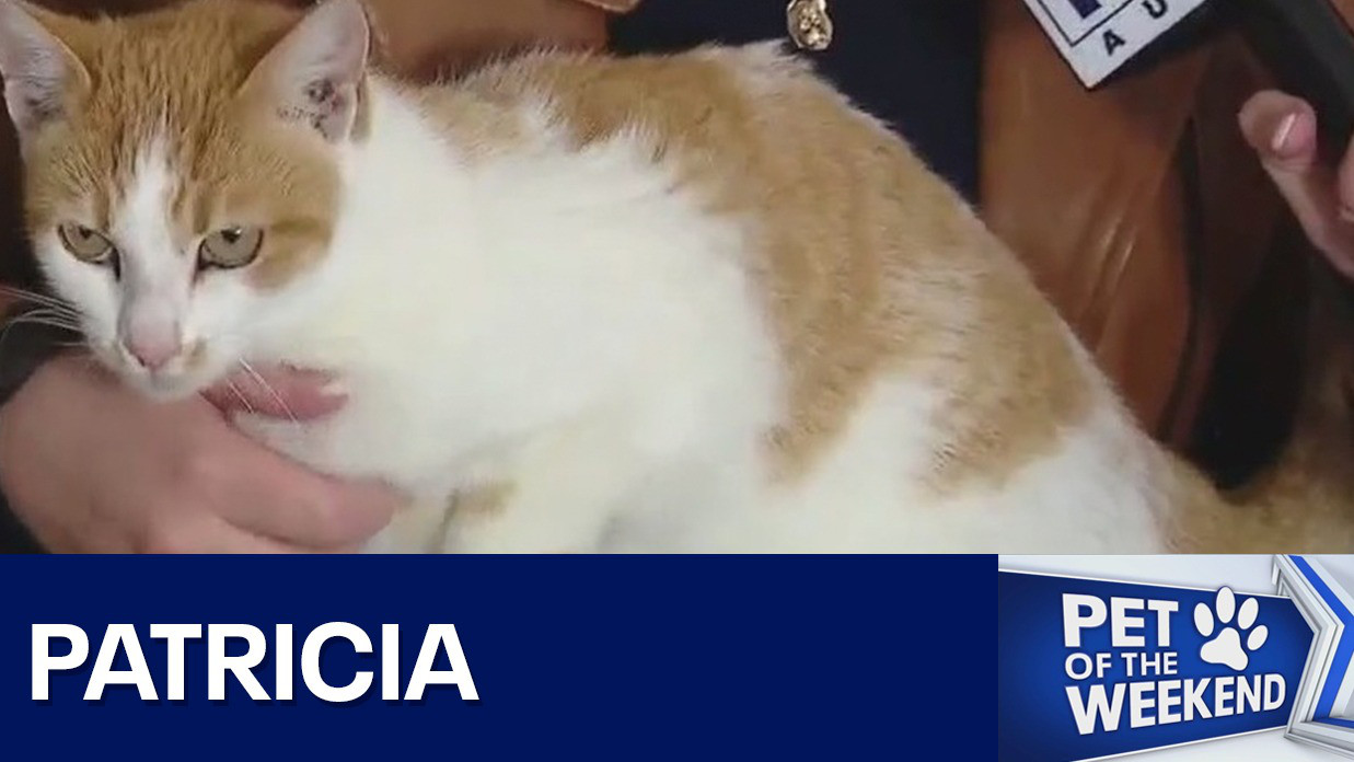 Patricia at Texas Humane Heroes