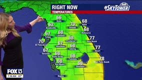 Tampa weather: Sunny Sunday across Bay Area