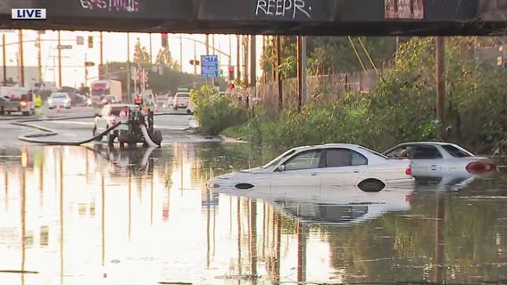 Cars submerged in Long Beach floodwaters