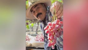 Telling stories of California's immigrants