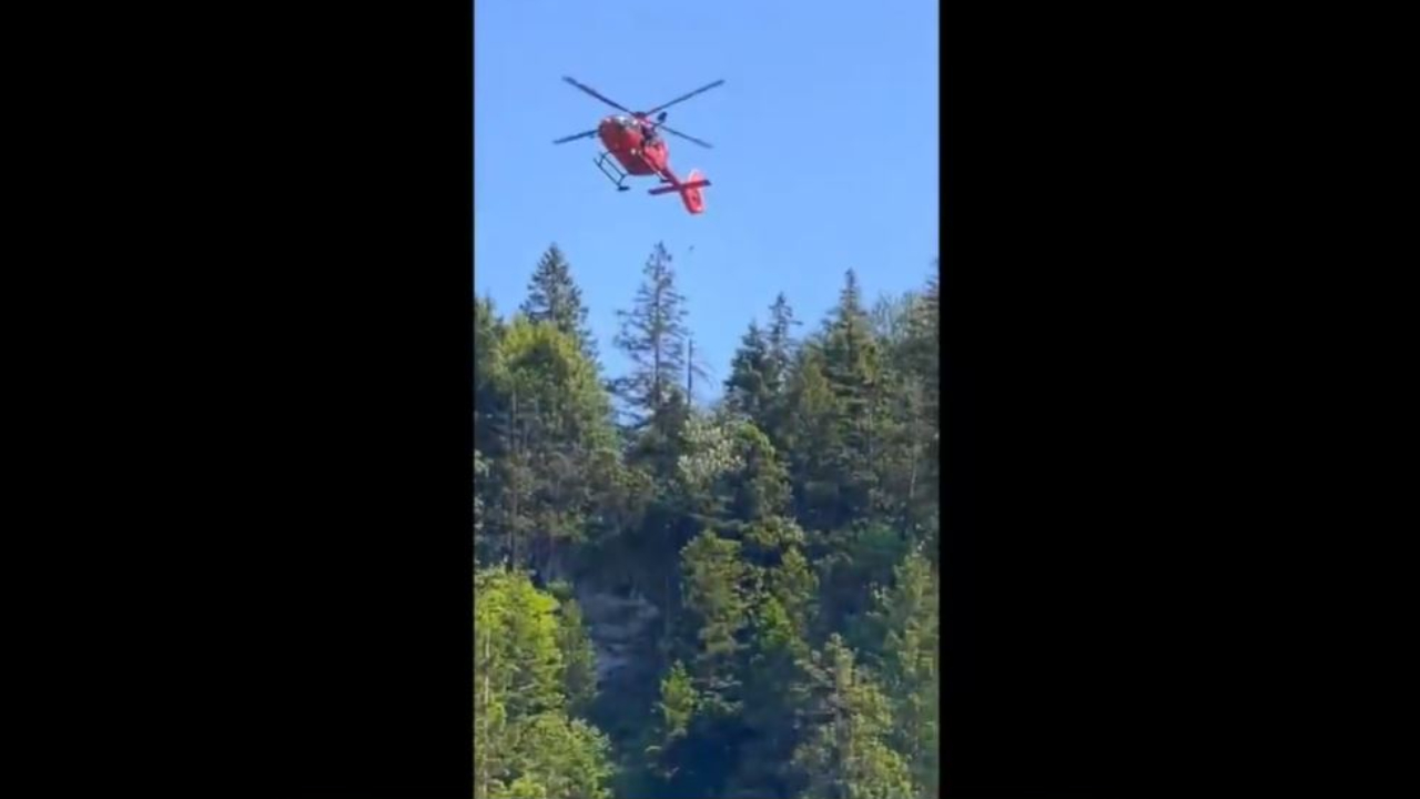 Illinois grad killed, another injured after being pushed down ravine at Germany's 'Cinderella' castle