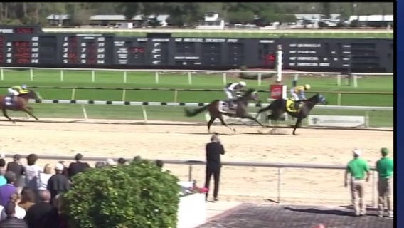 The future of horse racing in Florida